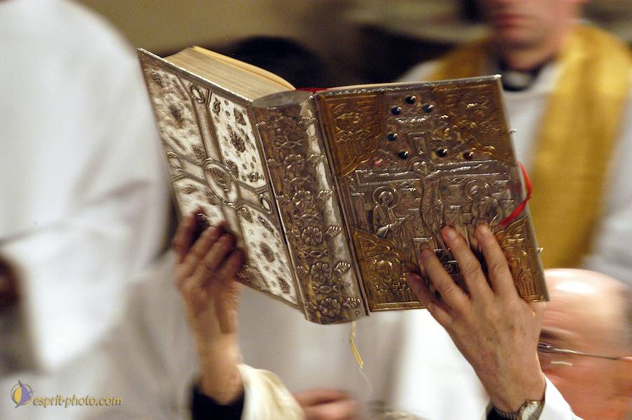 Nom de l'image : D1123700-01_(c)Norbert-JUNG — Description :